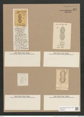 Navicula crabroniformis Grun. (de-Toni-Nr.: Genus 1, Species 264) Zeichnungen Sammlung Grunow Nr. 607 (NHMW-BOT-W0366968)